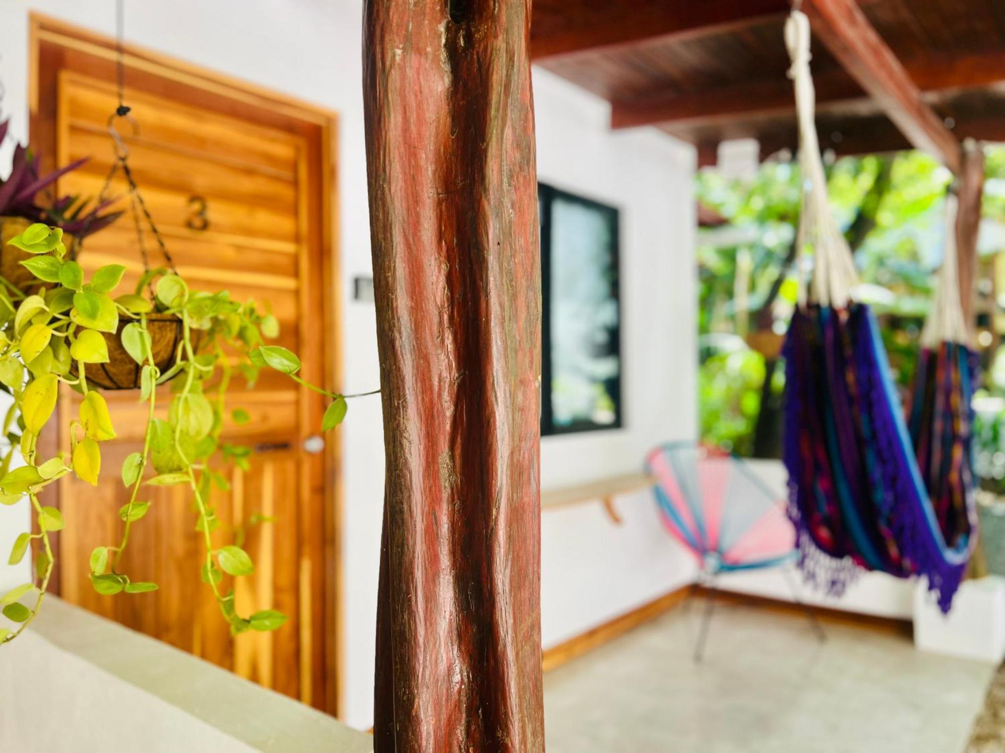 Calipso Ocean Lodge- Avellana Beach Hotel Playa Avellana Εξωτερικό φωτογραφία